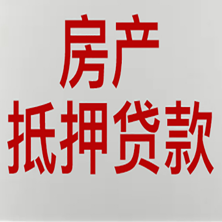 城区贷款中介公司新渝启服实力公司
